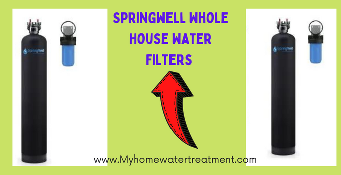 Springwell Whole House Water Filter Reviews