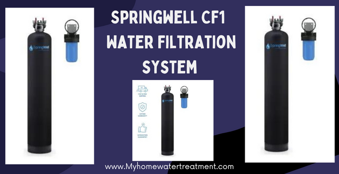 Springwell CF1 Review