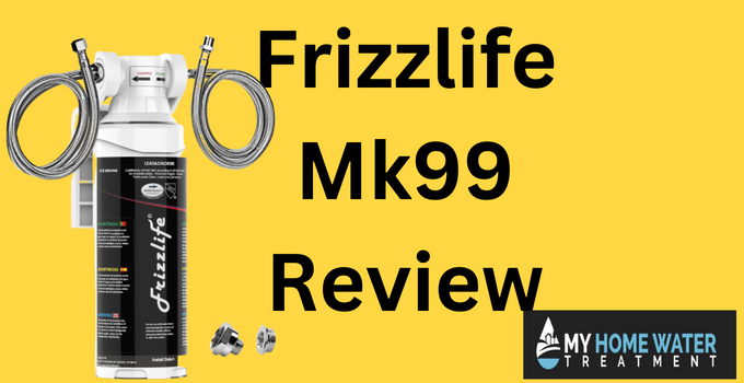 Frizzlife Mk99 Review