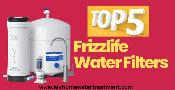 Frizzlife Water Filter Review 