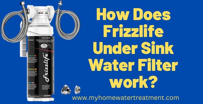 How Does Frizzlife MK99 work