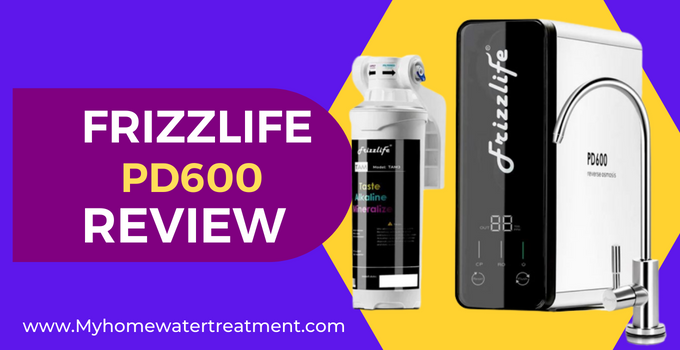 frizzlife pd600 review